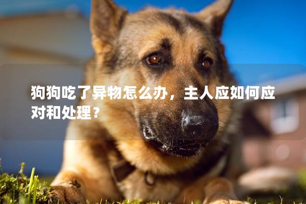 狗狗吃了异物怎么办，主人应如何应对和处理？