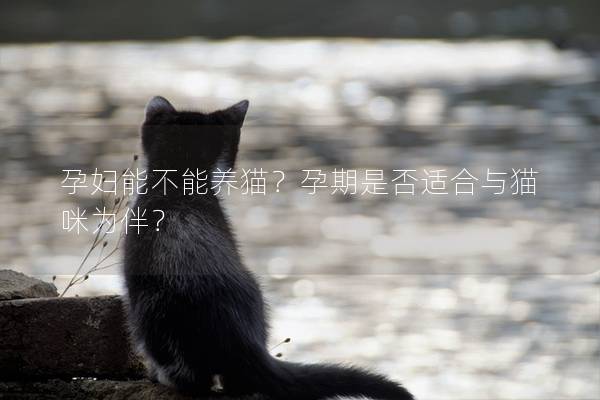 孕妇能不能养猫？孕期是否适合与猫咪为伴？