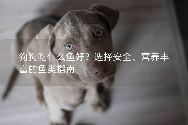 狗狗吃什么鱼好？选择安全、营养丰富的鱼类指南