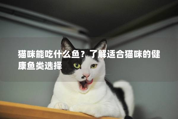 猫咪能吃什么鱼？了解适合猫咪的健康鱼类选择