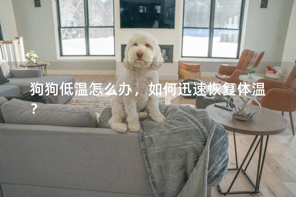 狗狗低温怎么办，如何迅速恢复体温？