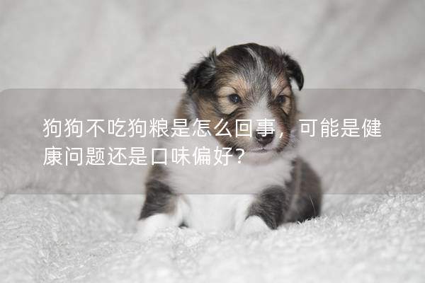 狗狗不吃狗粮是怎么回事，可能是健康问题还是口味偏好？