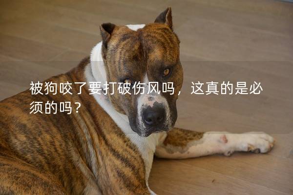 被狗咬了要打破伤风吗，这真的是必须的吗？