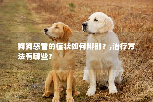 狗狗感冒的症状如何辨别？,治疗方法有哪些？