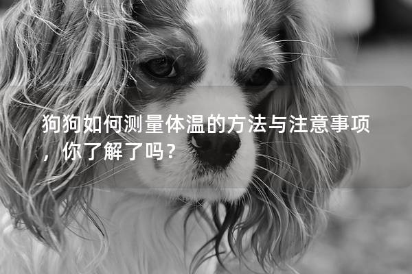 狗狗如何测量体温的方法与注意事项，你了解了吗？