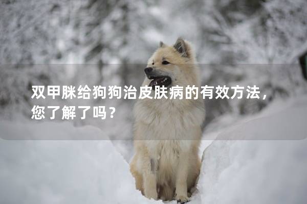 双甲脒给狗狗治皮肤病的有效方法，您了解了吗？
