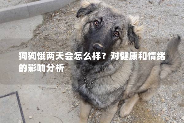 狗狗饿两天会怎么样？对健康和情绪的影响分析