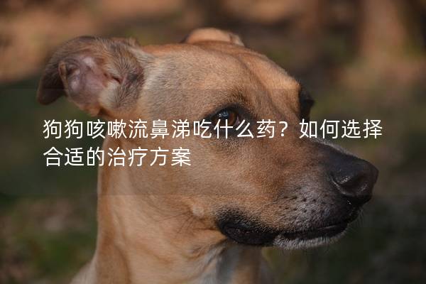 狗狗咳嗽流鼻涕吃什么药？如何选择合适的治疗方案