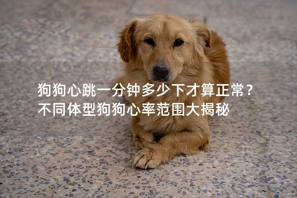 狗狗心跳一分钟多少下才算正常？ 不同体型狗狗心率范围大揭秘