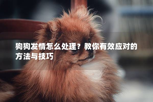 狗狗发情怎么处理？教你有效应对的方法与技巧