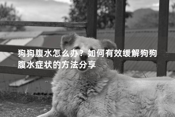 狗狗腹水怎么办？如何有效缓解狗狗腹水症状的方法分享