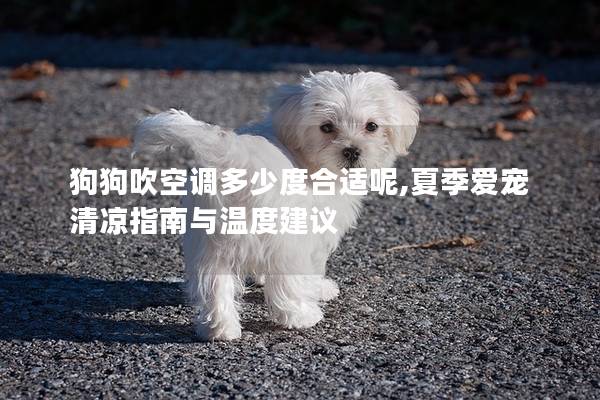 狗狗吹空调多少度合适呢,夏季爱宠清凉指南与温度建议