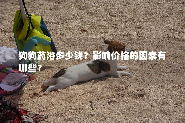 狗狗药浴多少钱？影响价格的因素有哪些？
