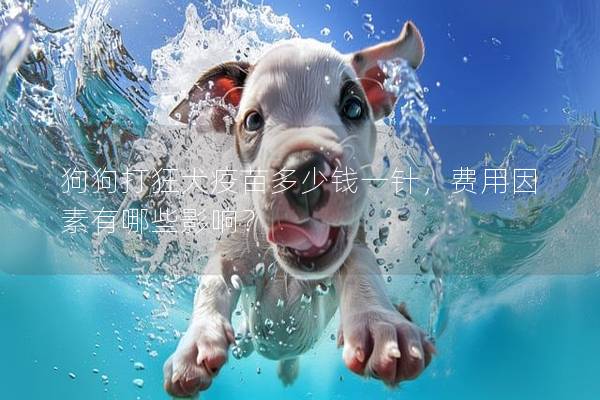 狗狗打狂犬疫苗多少钱一针，费用因素有哪些影响？