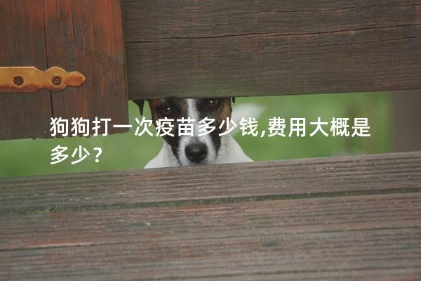 狗狗打一次疫苗多少钱,费用大概是多少？