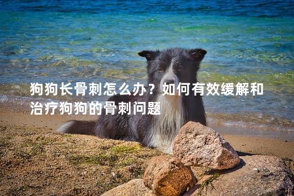 狗狗长骨刺怎么办？如何有效缓解和治疗狗狗的骨刺问题