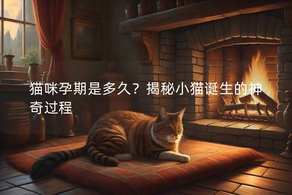 猫咪孕期是多久？揭秘小猫诞生的神奇过程