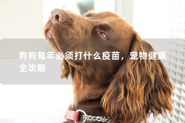狗狗每年必须打什么疫苗，宠物健康全攻略