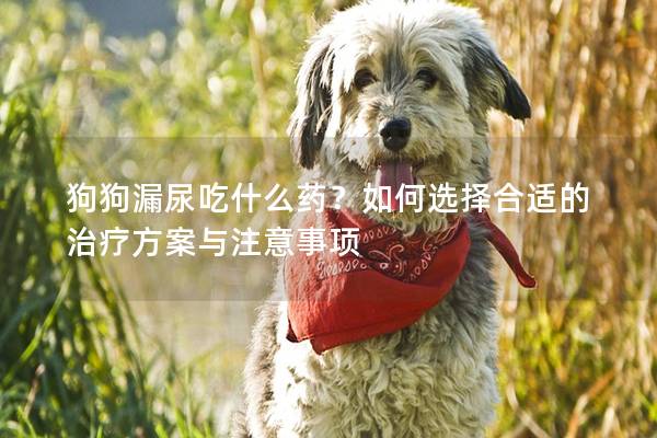 狗狗漏尿吃什么药？如何选择合适的治疗方案与注意事项