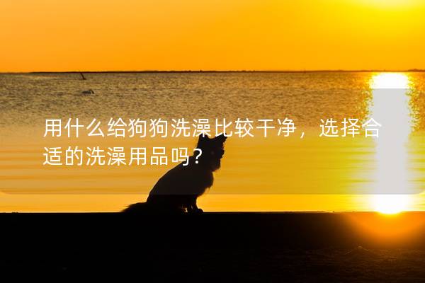 用什么给狗狗洗澡比较干净，选择合适的洗澡用品吗？