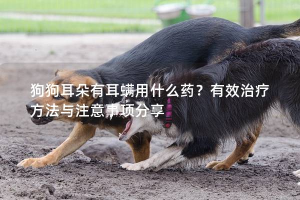 狗狗耳朵有耳螨用什么药？有效治疗方法与注意事项分享