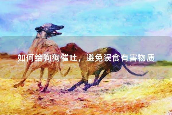如何给狗狗催吐，避免误食有害物质