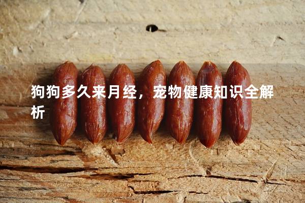 狗狗多久来月经，宠物健康知识全解析