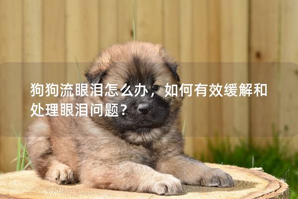狗狗流眼泪怎么办，如何有效缓解和处理眼泪问题？