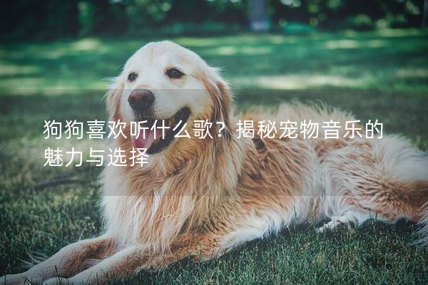 狗狗喜欢听什么歌？揭秘宠物音乐的魅力与选择