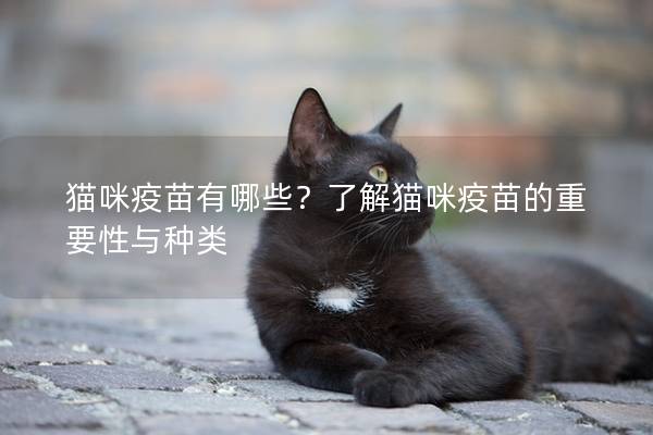 猫咪疫苗有哪些？了解猫咪疫苗的重要性与种类