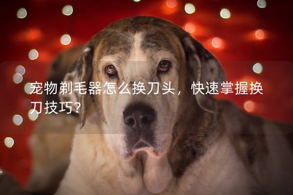 宠物剃毛器怎么换刀头，快速掌握换刀技巧？