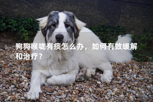 狗狗喉咙有痰怎么办，如何有效缓解和治疗？