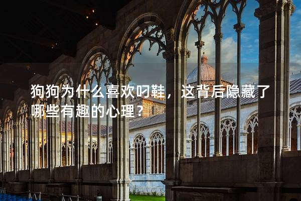 狗狗为什么喜欢叼鞋，这背后隐藏了哪些有趣的心理？