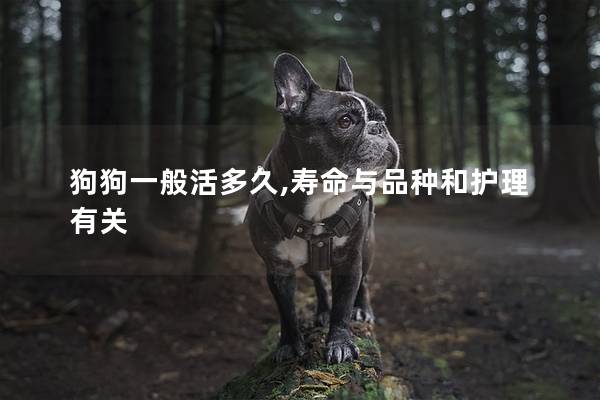 狗狗一般活多久,寿命与品种和护理有关