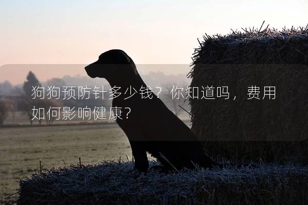 狗狗预防针多少钱？你知道吗，费用如何影响健康？