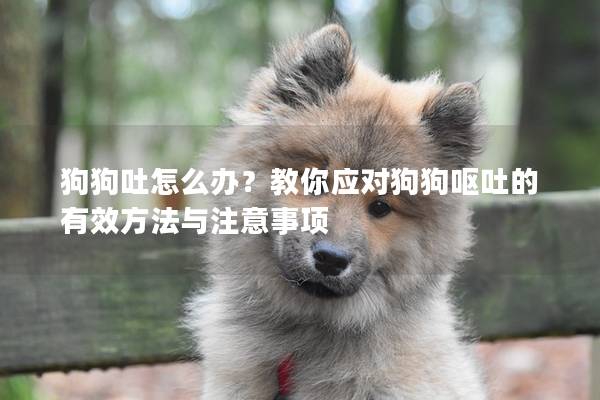 狗狗吐怎么办？教你应对狗狗呕吐的有效方法与注意事项