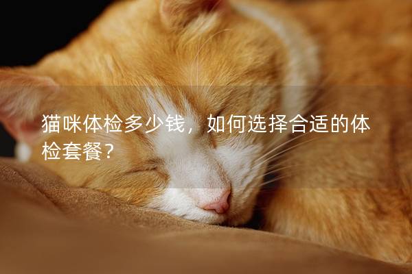 猫咪体检多少钱，如何选择合适的体检套餐？