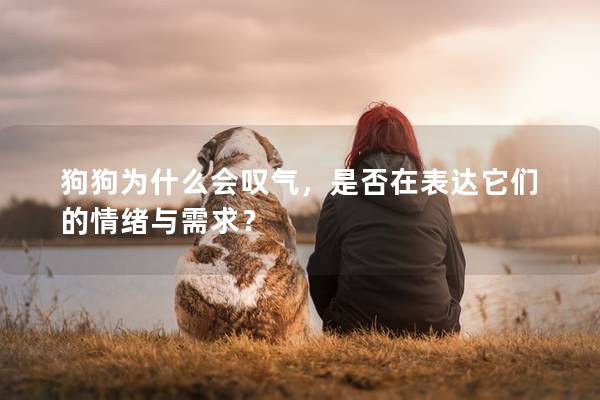 狗狗为什么会叹气，是否在表达它们的情绪与需求？