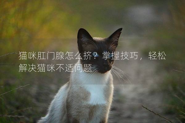 猫咪肛门腺怎么挤？掌握技巧，轻松解决猫咪不适问题