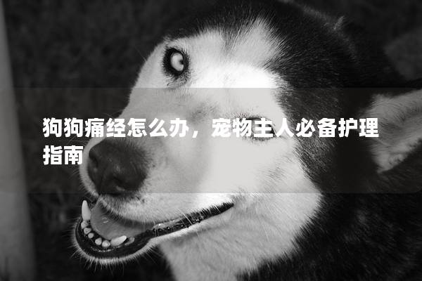 狗狗痛经怎么办，宠物主人必备护理指南