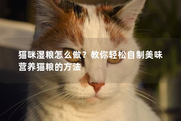 猫咪湿粮怎么做？教你轻松自制美味营养猫粮的方法