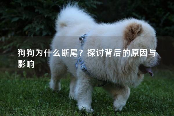 狗狗为什么断尾？探讨背后的原因与影响