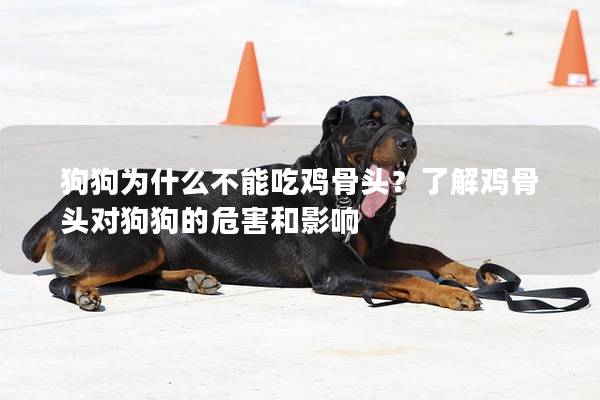 狗狗为什么不能吃鸡骨头？了解鸡骨头对狗狗的危害和影响