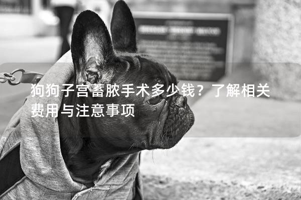 狗狗子宫蓄脓手术多少钱？了解相关费用与注意事项
