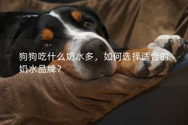 狗狗吃什么奶水多，如何选择适合的奶水品牌？