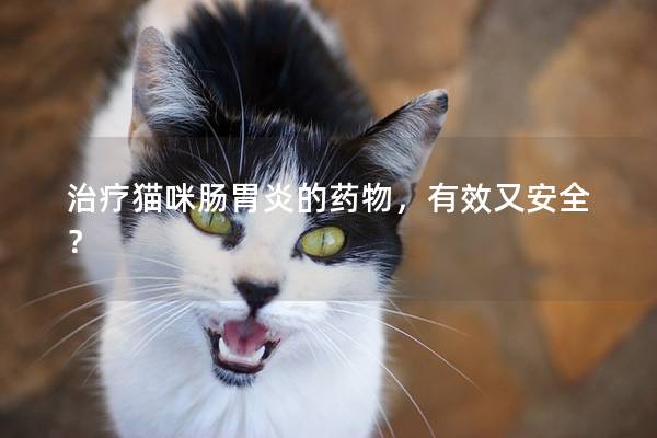 治疗猫咪肠胃炎的药物，有效又安全？