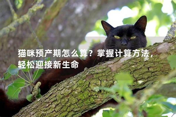 猫咪预产期怎么算？掌握计算方法，轻松迎接新生命