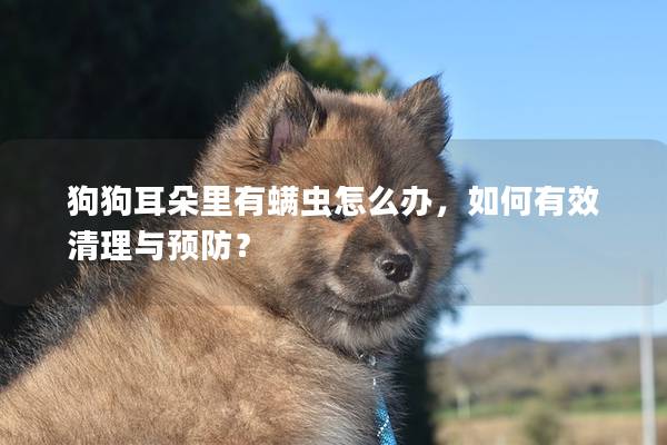 狗狗耳朵里有螨虫怎么办，如何有效清理与预防？