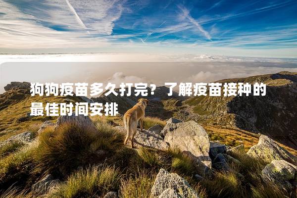 狗狗疫苗多久打完？了解疫苗接种的最佳时间安排