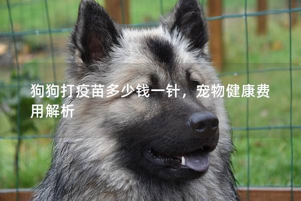 狗狗打疫苗多少钱一针，宠物健康费用解析